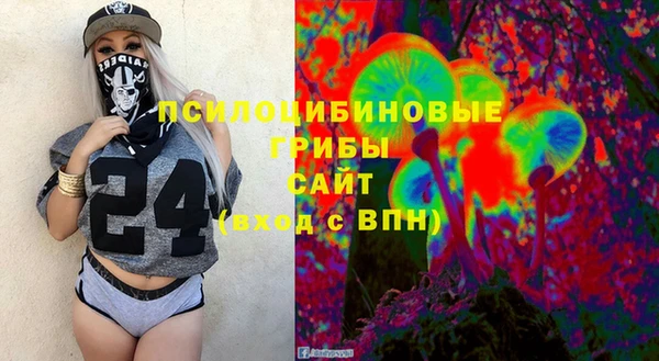 эйфоретик Алексин