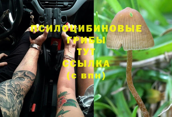 ALPHA PVP Алексеевка