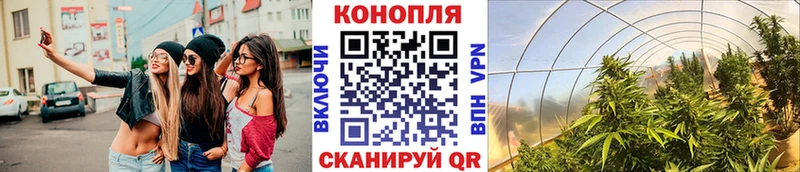 дарнет шоп  гидра онион  Бошки марихуана сатива  Бакал 